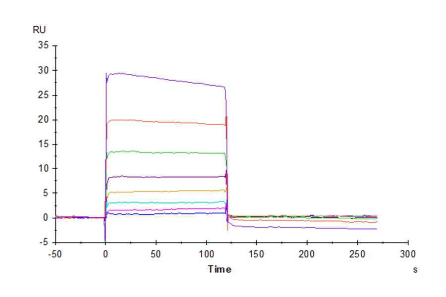 Human TIGIT Protein, Ultra Low Endotoxin (TIG-HM210-UL)