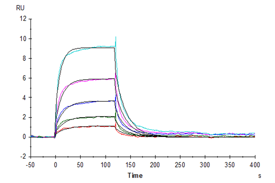 Human ICOS/CD278 (C136S, C137S) Protein, Ultra Low Endotoxin (ICO-HM102-UL)