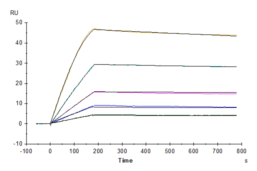Human GDF15 Protein, Ultra Low Endotoxin (GDF-HE115-UL)