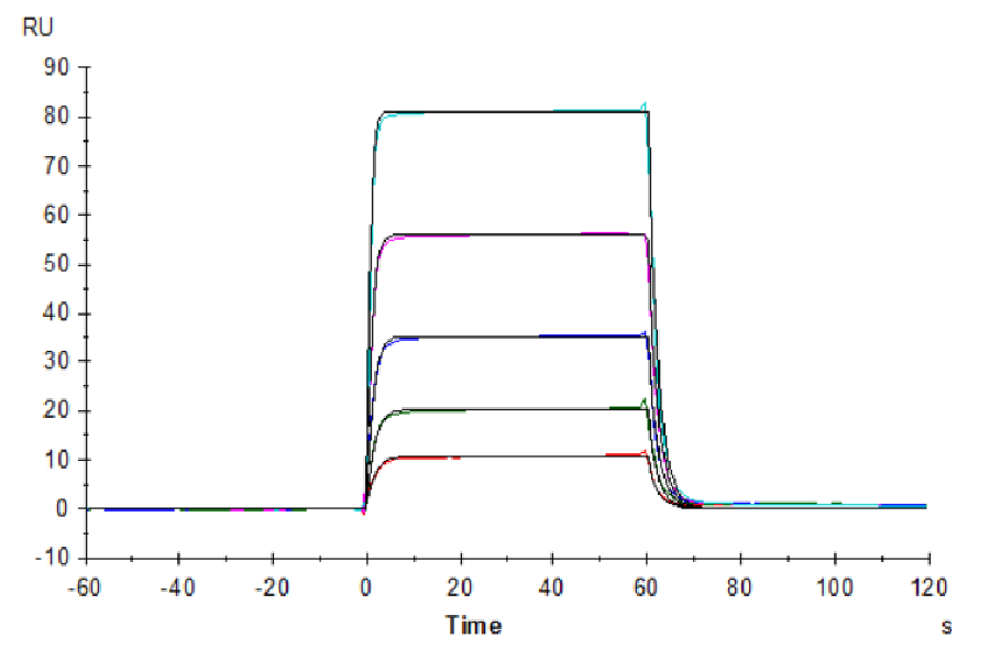 Non-biotinylated Human DNAM-1/CD226 Protein, Ultra Low Endotoxin (DAM-HM101-UL)