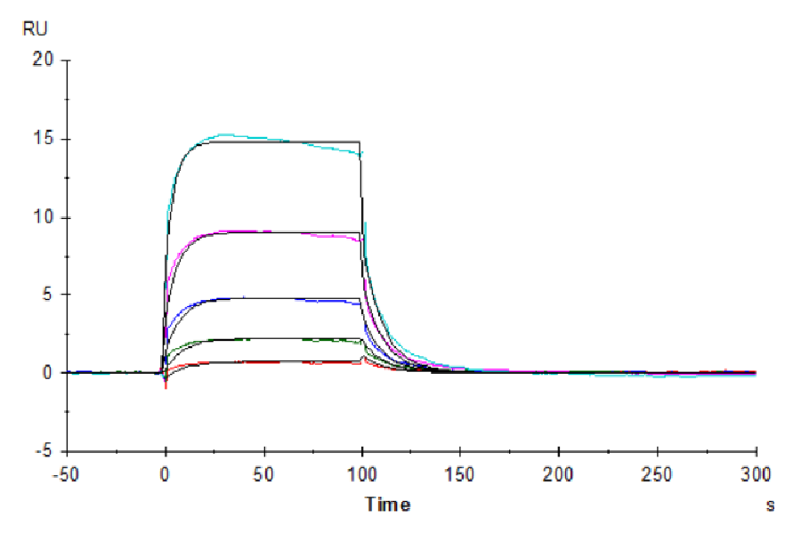 Biotinylated Human Fc gamma RIIIA/CD16a (F176) Protein, Ultra Low Endotoxin (CDA-HM416B-UL)