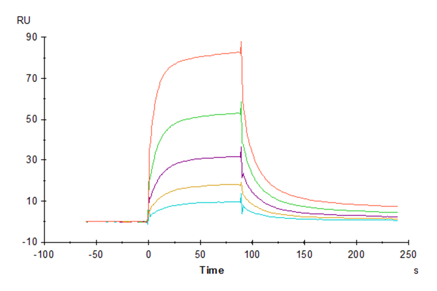 Rhesus macaque LILRB1/CD85j/ILT2 Protein, Ultra Low Endotoxin (LIL-CM1B1-UL)