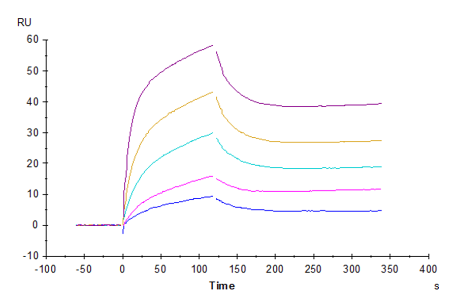 Non-biotinylated Human IL-6 R alpha/CD126 Protein, Ultra Low Endotoxin (ILR-HM46R-UL)