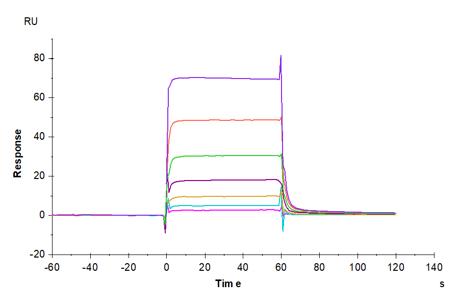Biotinylated Human PD-1/PDCD1 Protein, Ultra Low Endotoxin (PD1-HM401B-UL)