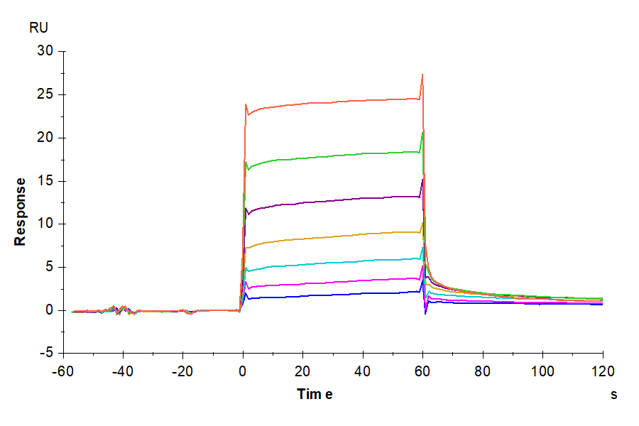 Cynomolgus M-CSF R/CSF1R/CD115 Protein, Ultra Low Endotoxin (CSF-CM11R-UL)