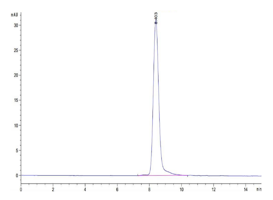 Cynomolgus KLKB1 Protein (KLK-CM1B1)