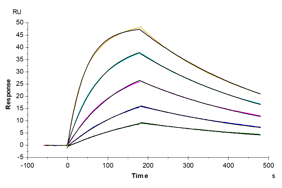 Human HLA-A*02:01&B2M&NY-ESO-1 (SLLMWITQC) Monomer Protein, Ultra Low Endotoxin (MHC-HM405-UL)