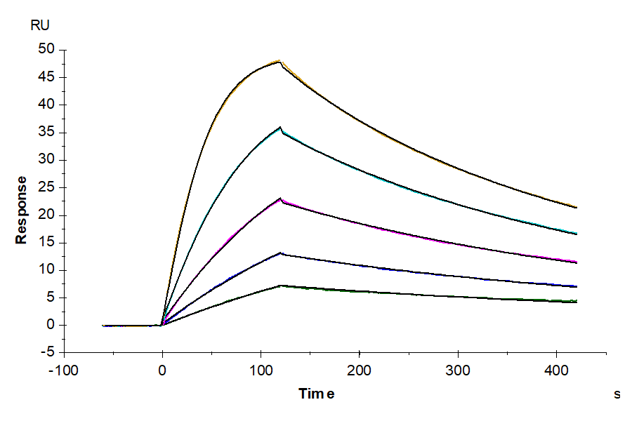 Non-biotinylated Human IL-18 R1/CD218a Protein, Ultra Low Endotoxin (IL8-HM4R1-UL)