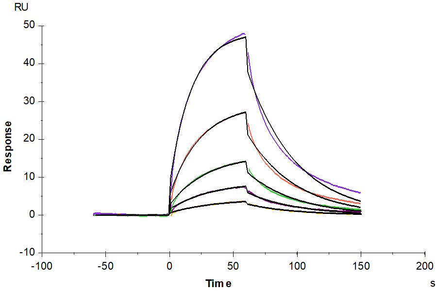 Biotinylated Mouse PD-1/PDCD1 Protein (Primary Amine Labeling) , Ultra Low Endotoxin (PD1-MM201B-UL)