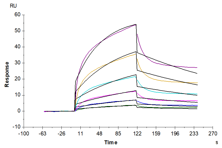 Mouse PD-L1/B7-H1 Protein, Ultra Low Endotoxin (PDL-MM210-UL)