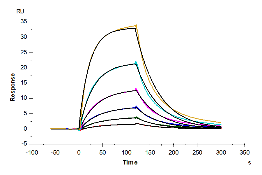 Human GPA Protein, Ultra Low Endotoxin (GPA-HM201-UL)