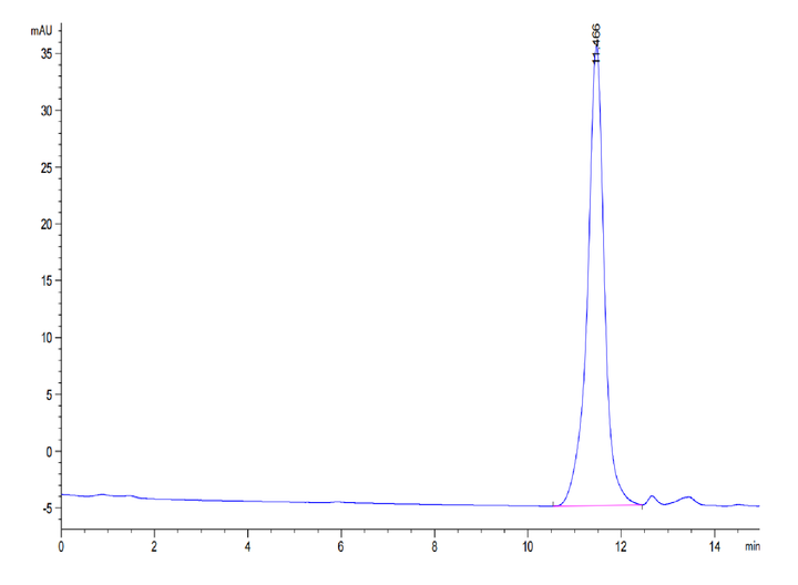 Human PLAU/uPA Protein (active form) (PLA-HM101)