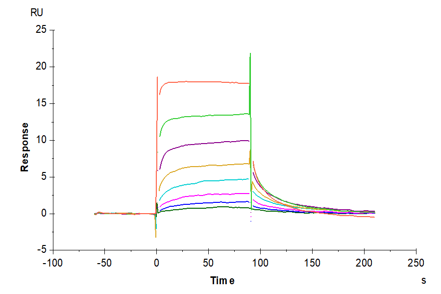 Human FcRn Protein, Ultra Low Endotoxin (FRN-HM101-UL)