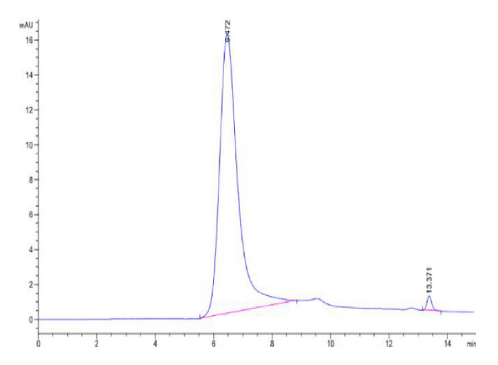 Human Hsp27/HSPB1-Protein (HSP-HE001)