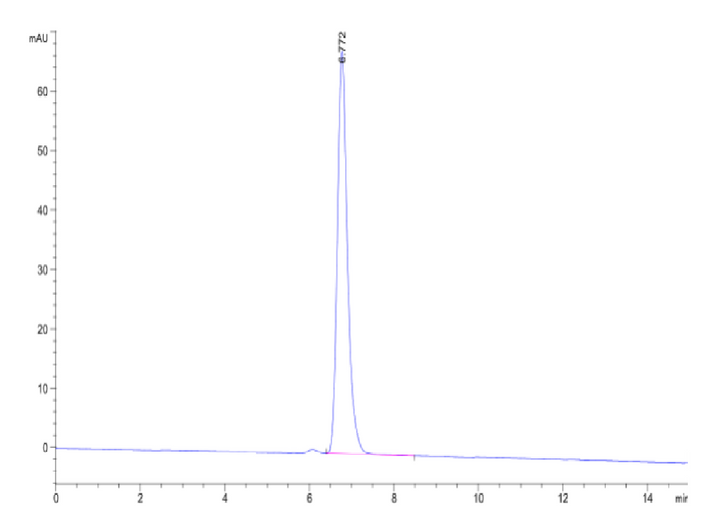 Human HLA-A*11:01&B2M&KRAS G12R (VVVGARGVGK) Tetramer Protein (MHC-HM440T)