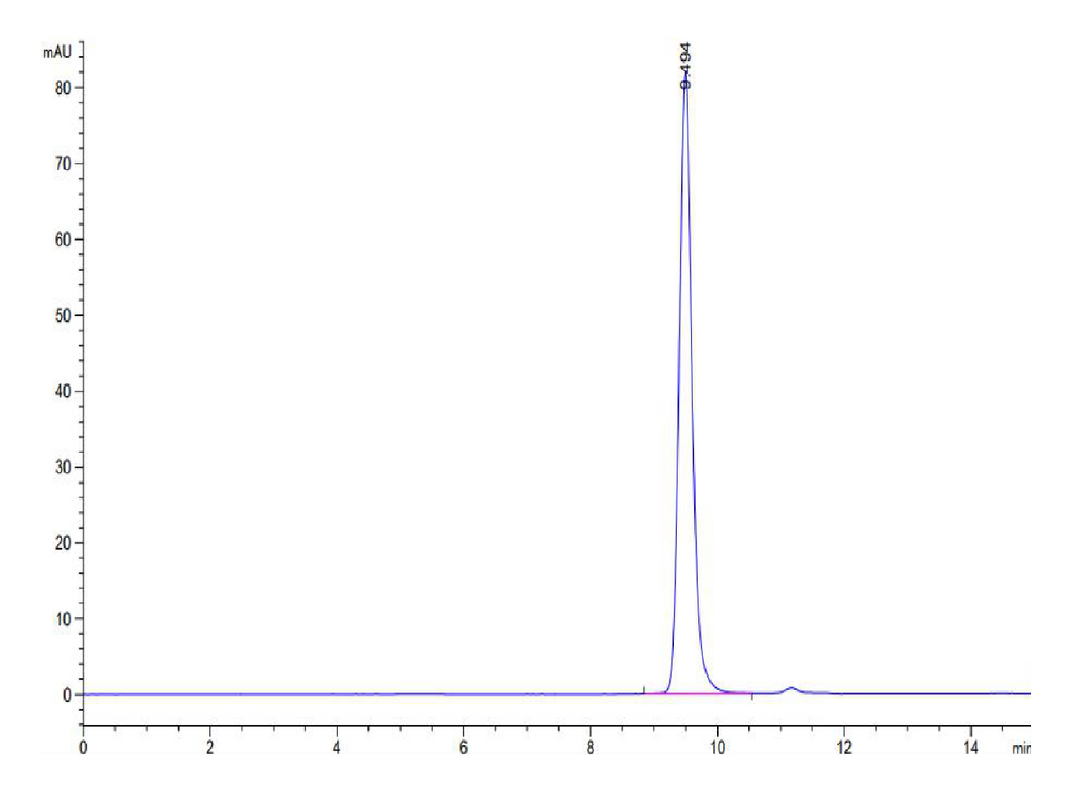 Human HLA-A*11:01&B2M&KRAS G12D (VVVGADGVGK) Monomer Protein (MHC-HM454)