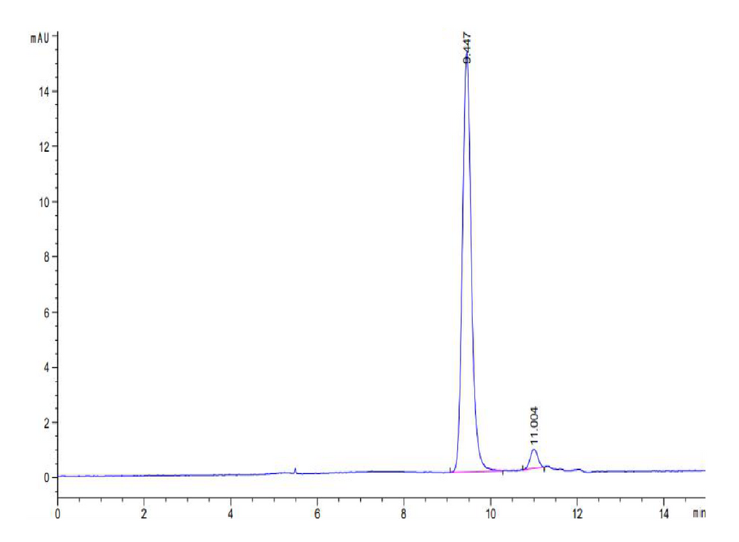 Biotinylated Human HLA-A*11:01&B2M&KRAS G12D (VVGADGVGK) Monomer Protein (MHC-HM455B)