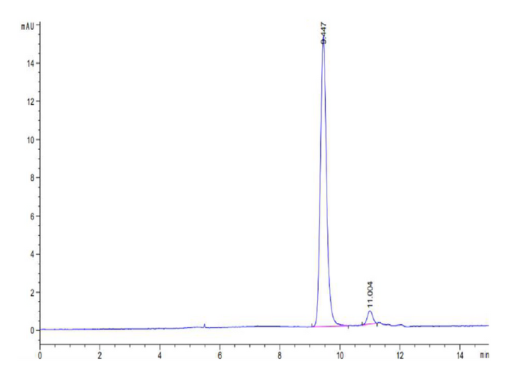 Biotinylated Human HLA-A*11:01&B2M&KRAS G12D (VVGADGVGK) Monomer Protein (MHC-HM455B)