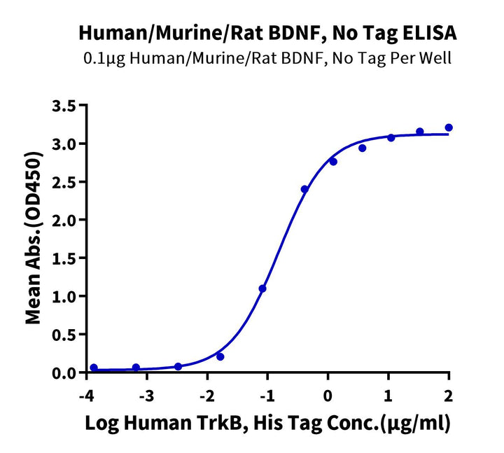Human/Mouse/Rat BDNF-Protein (BDF-HE001)