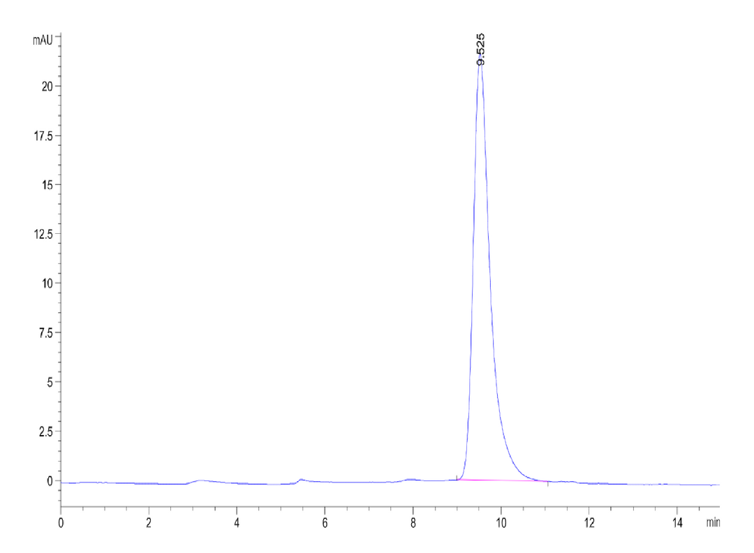 Mouse IL-17RB Protein (IL1-MM1RB)