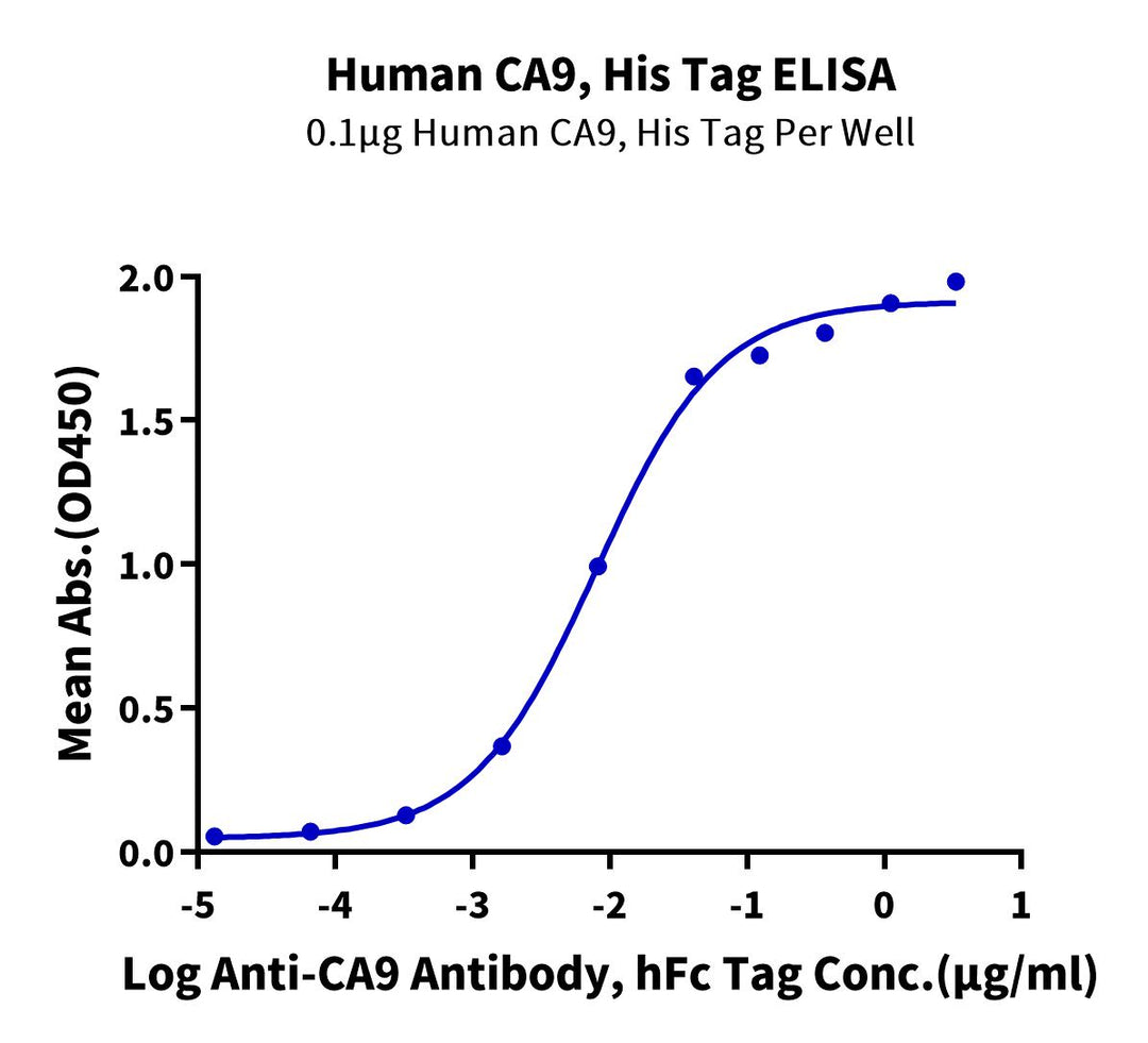 Human CA9/Carbonic Anhydrase IX Protein (CA9-HM401)