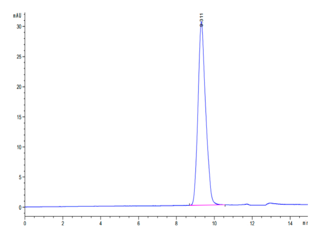 Canine EMMPRIN/CD147 Protein (EPN-DM147)