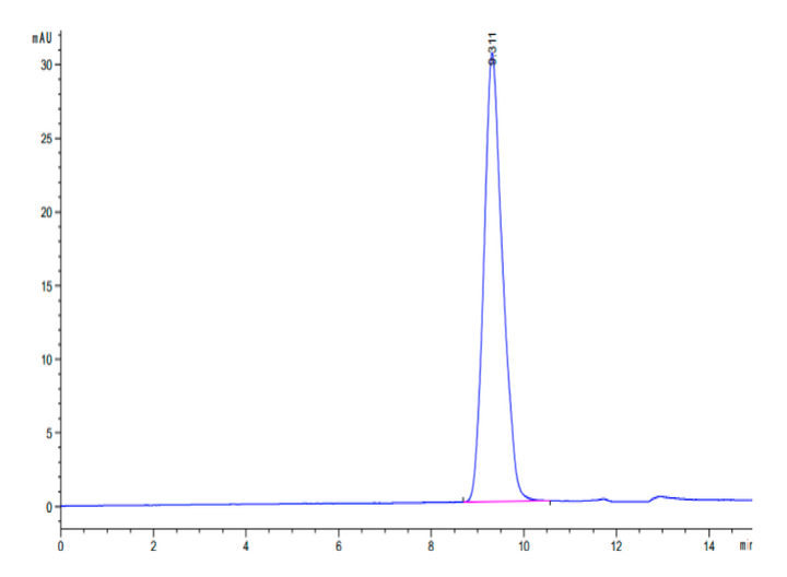 Canine EMMPRIN/CD147 Protein (EPN-DM147)