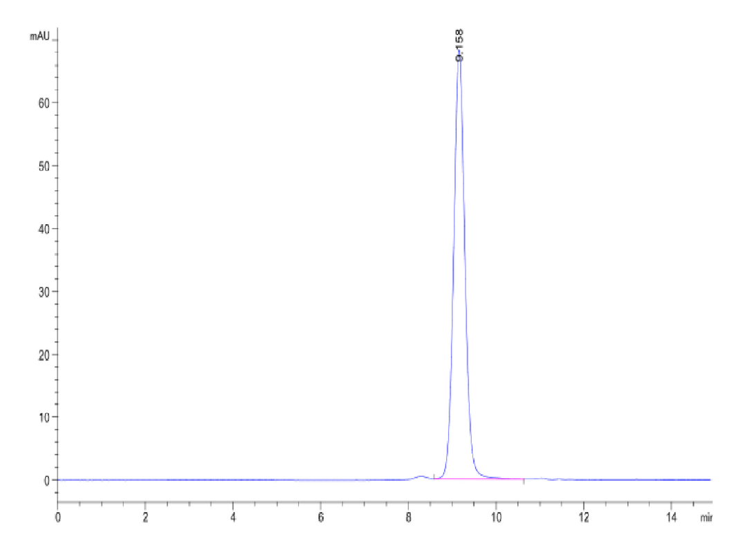 Biotinylated Human Peptide Ready HLA-A*11:01&B2M Monomer-Protein (MHC-HM41RB)