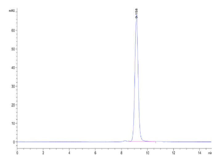 Biotinylated Human Peptide Ready HLA-A*11:01&B2M Monomer-Protein (MHC-HM41RB)