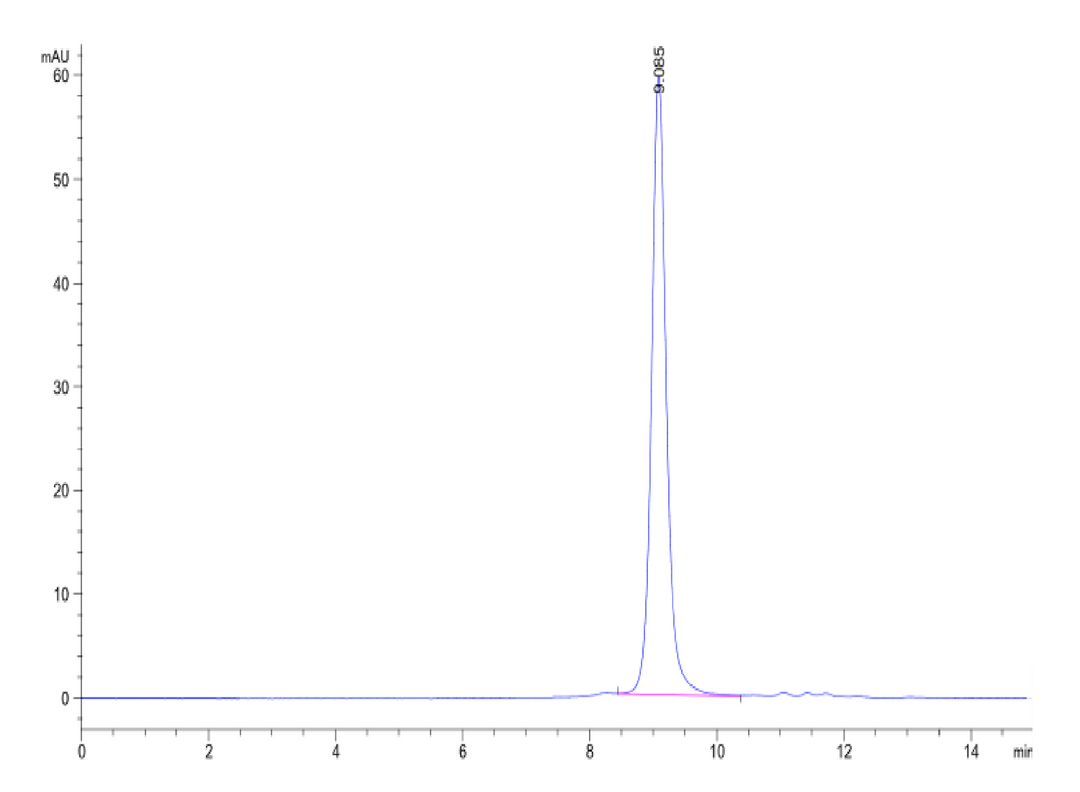 Biotinylated Human Peptide Ready HLA-E*01:03&B2M Monomer-Protein (MHC-HM42RB)