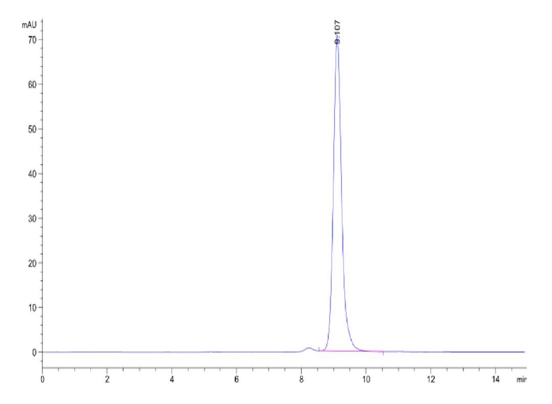 Human Peptide Ready HLA-A*02:01&B2M Monomer-Protein (MHC-HM43R)