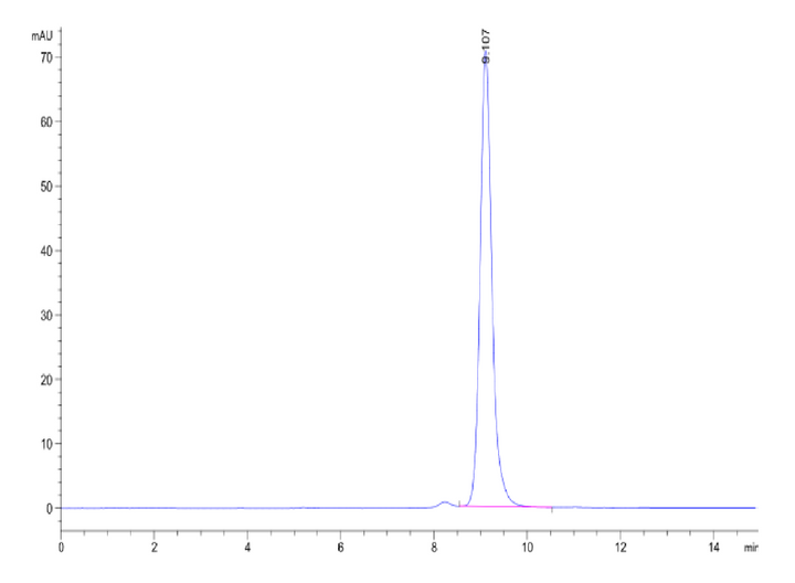 Human Peptide Ready HLA-A*02:01&B2M Monomer-Protein (MHC-HM43R)