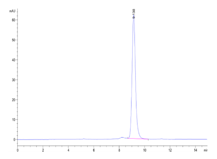 Biotinylated Human Peptide Ready HLA-A*02:01&B2M Monomer-Protein (MHC-HM43RB)