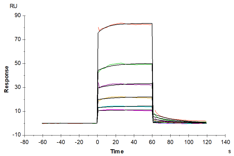 Human APOE3/Apolipoprotein E Protein (APO-HM101)