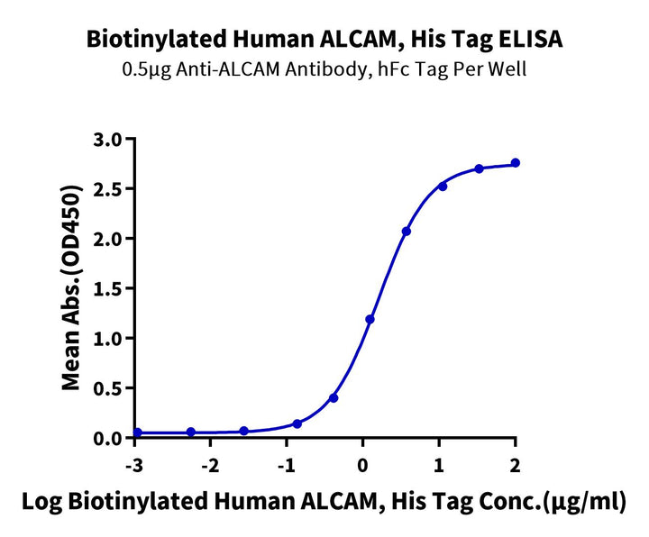 Biotinylated Human ALCAM/CD166 Protein (Primary Amine Labeling) (ALC-HM101B)