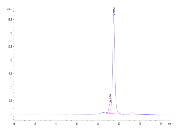 Mouse PGK1 Protein (PGK-MB101)