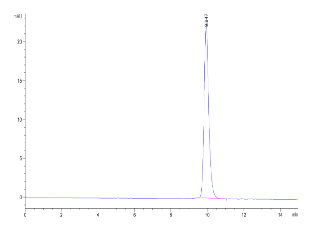 Cynomolgus ALK-1/ACVRL1 Protein (ALK-CM101)