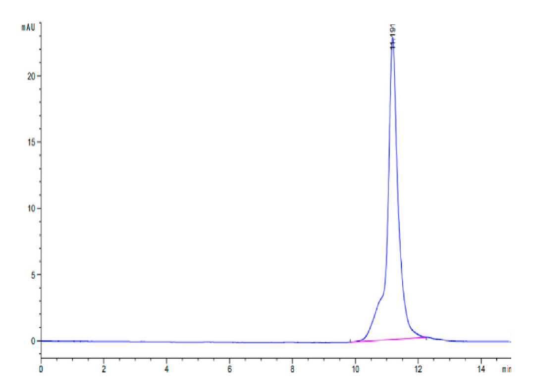 Mouse LY6A-Protein (LYA-ME006)