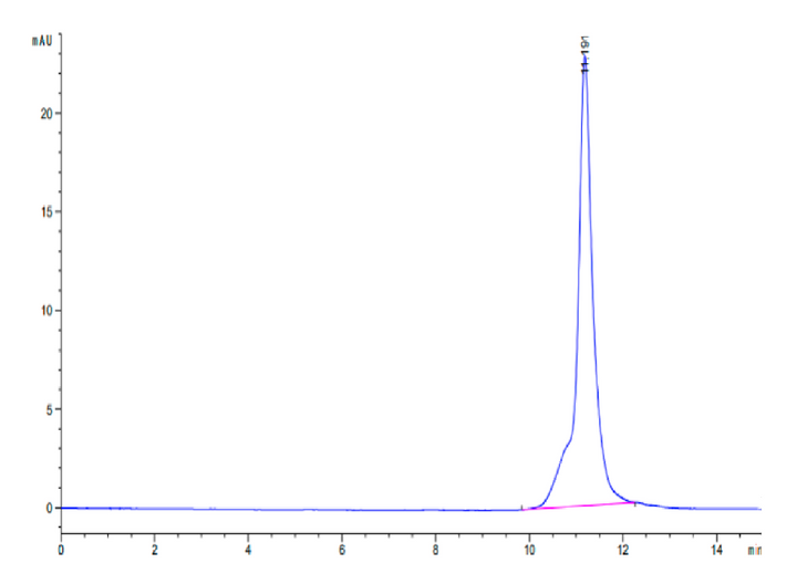 Mouse LY6A-Protein (LYA-ME006)