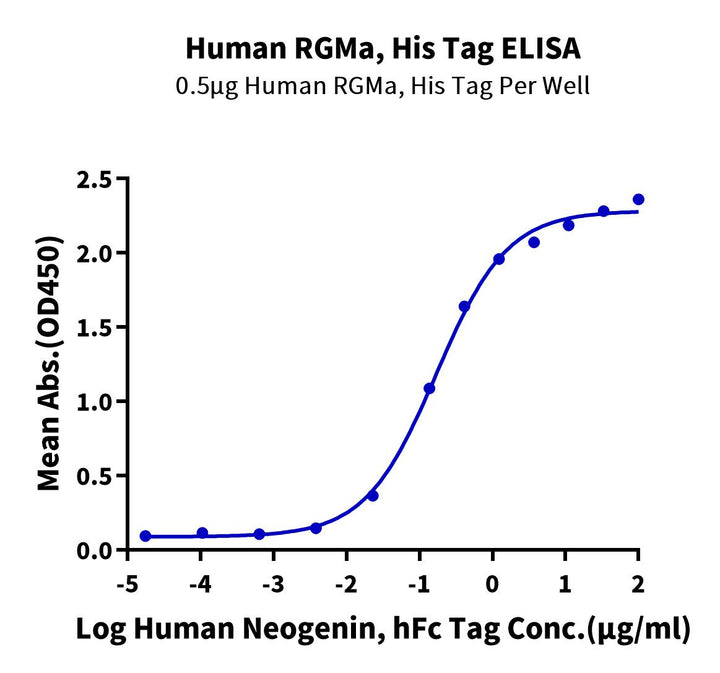 Human RGMa Protein (RGM-HM401)