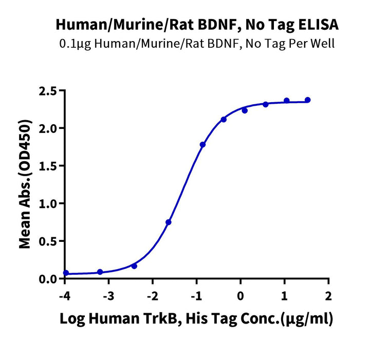 Human/Mouse/Rat BDNF-Protein (BDF-HE001)