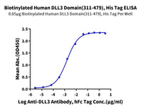 Biotinylated Human DLL3 Domain (311-479) Protein (DLL-HM4D1B)