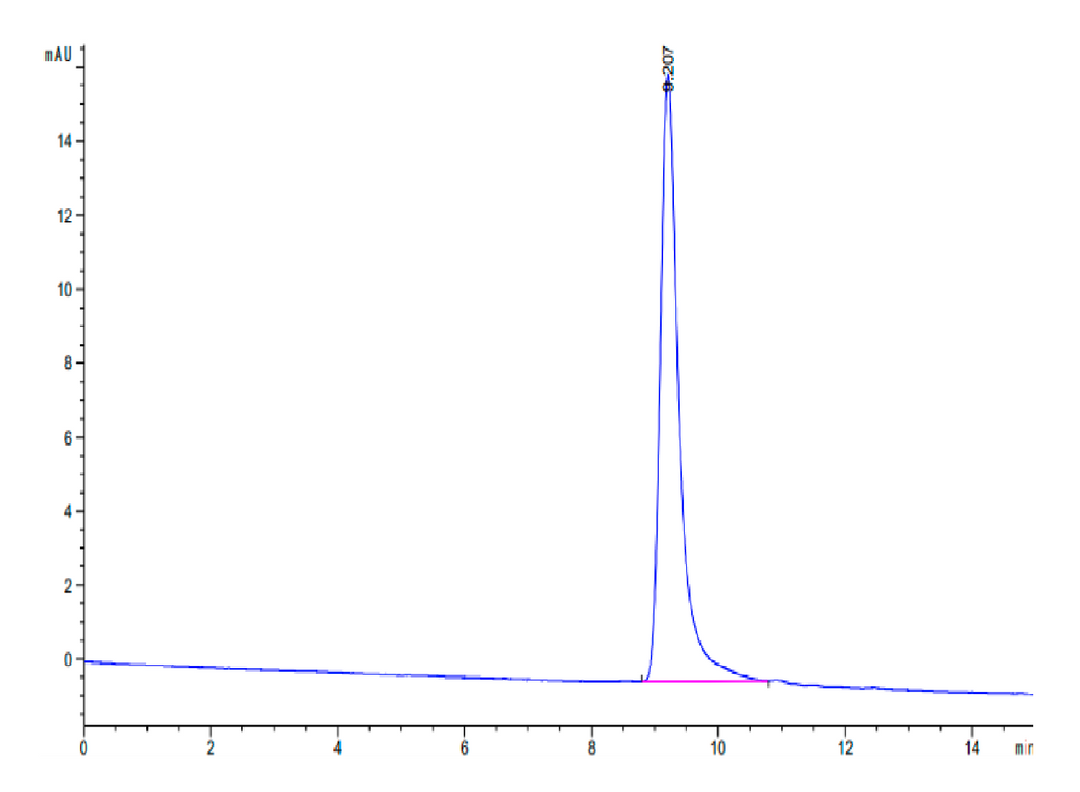 Rat Serpina3n Protein (SEP-RM101)