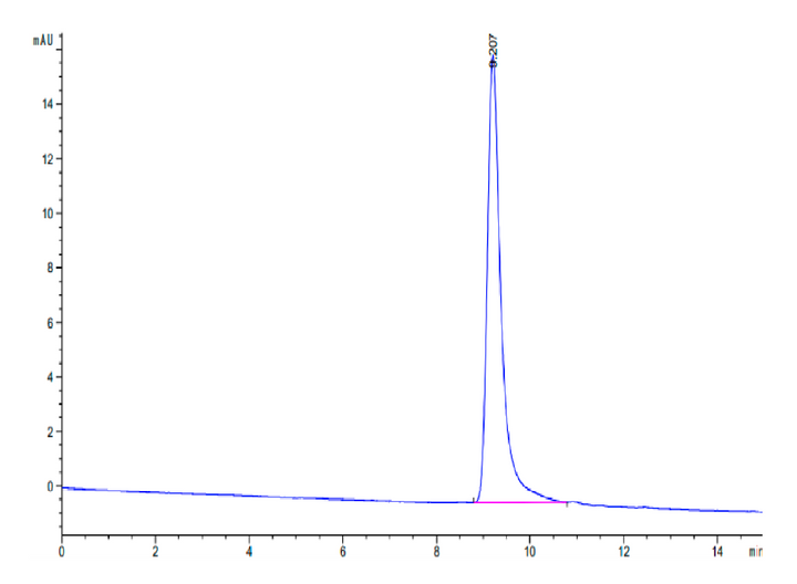 Rat Serpina3n Protein (SEP-RM101)