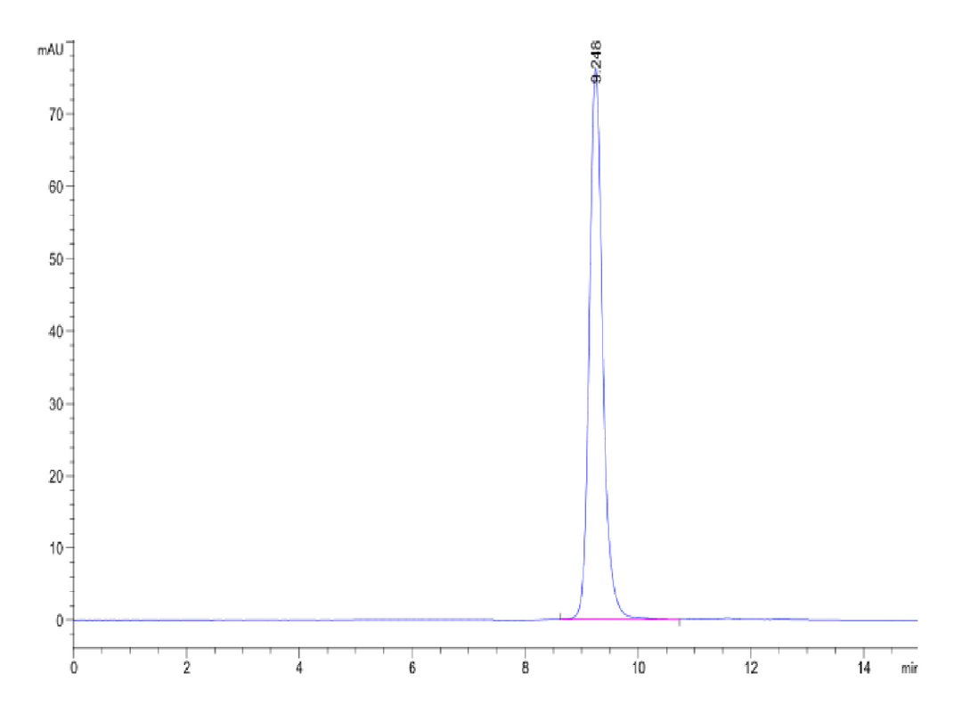 Human HLA-B*15:01&B2M&SARS-CoV-2 epitope (NQKLIANQF) Monomer Protein (MHC-HM448)