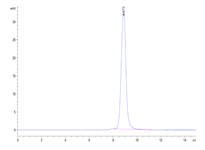 Human TAFA2/FAM19A2 Protein (FAM-HM2A2)