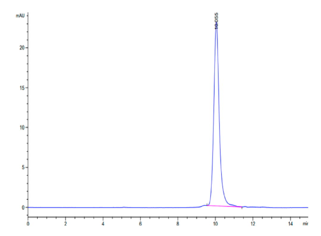 Human Interferon omega-1 Protein (IFN-HM101)