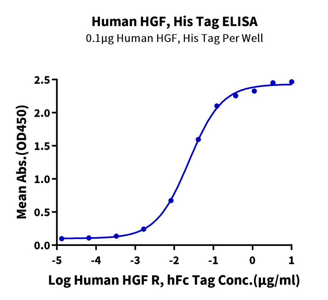 Human HGF Protein (HGF-HM101)