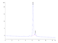 Human PAH (D415N) Protein (PAH-HB001)