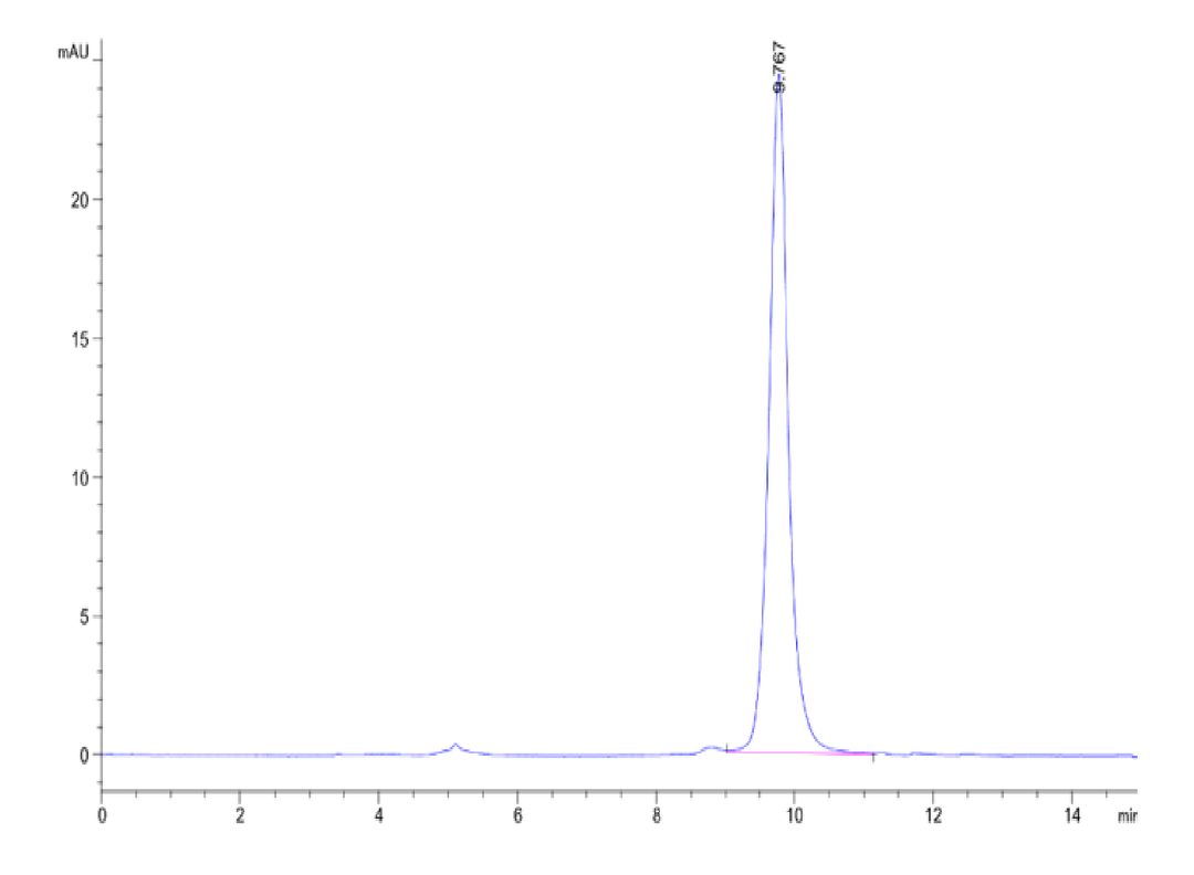 Human PRAK Protein (PRK-HB601)